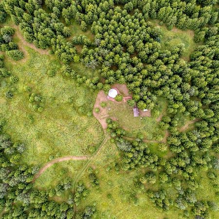 Hotel Kuusehaldja Glamping à Kohila Extérieur photo